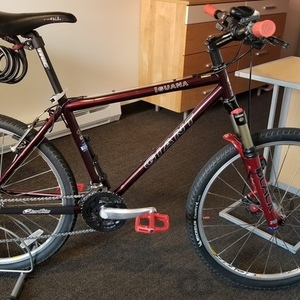 1995 Giant Iguana Red