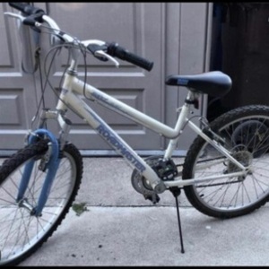 2007 Roadmaster 070063217 White and Blue