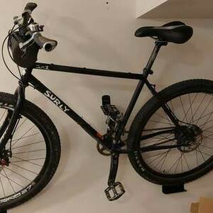 2007 Surly 1x1
