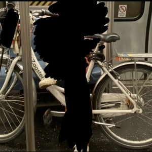 Zagster (retired commuter bike purchased in PA) Zagster Commuter Bike White