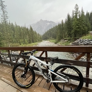 Santa Cruz Bronson White