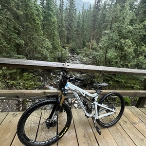 Santa Cruz Bronson White