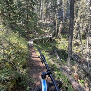 Santa Cruz Bronson White