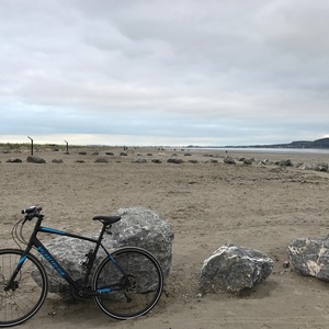 2016 Specialized Sirrus Sport Black and Blue