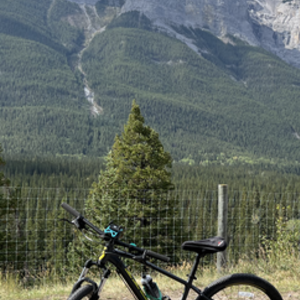 2021 SCOTT Aspect 760 Silver, gray or bare metal