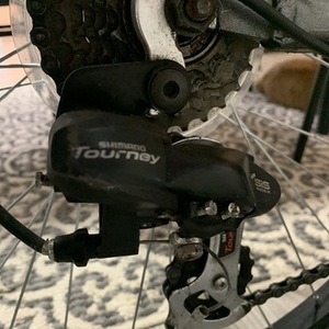 Trek Skye Silver, gray or bare metal, White, and Pink