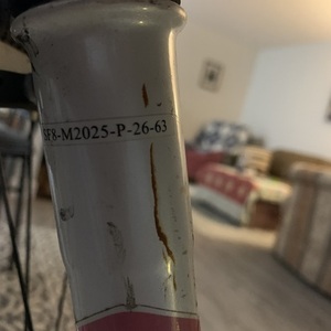 Trek Skye Silver, gray or bare metal, White, and Pink