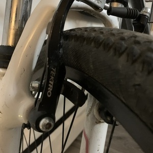 Trek Skye Silver, gray or bare metal, White, and Pink