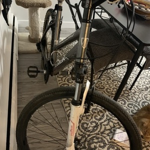 Trek Skye Silver, gray or bare metal, White, and Pink