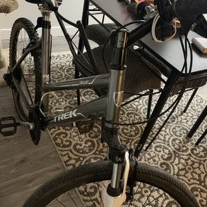 Trek Skye Silver, gray or bare metal, White, and Pink