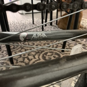 Trek Skye Silver, gray or bare metal, White, and Pink