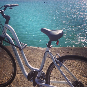 2013 Trek Verve 3 WSD 19L White