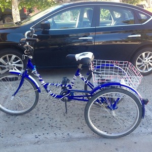 2014 Velorbis 6 speed Blue