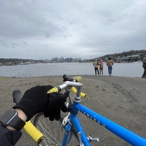 Trek 1100 Blue and Yellow or Gold