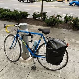 Trek 1100 Blue and Yellow or Gold