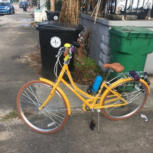 2022 Retrospec Beaumont 42cm Yellow or Gold