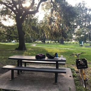 2022 Retrospec Beaumont 42cm Yellow or Gold