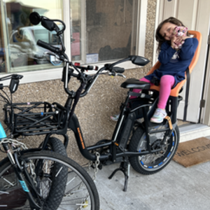 2019 Rad Power Bikes RadRunner Black