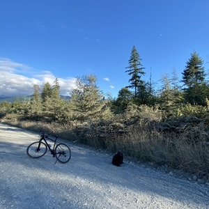 2022 Cannondale Quick CX Black