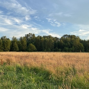 2022 Cannondale Quick CX Black