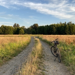 2022 Cannondale Quick CX Black