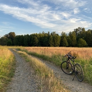 2022 Cannondale Quick CX Black