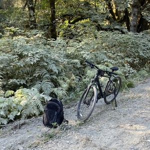 2022 Cannondale Quick CX Black