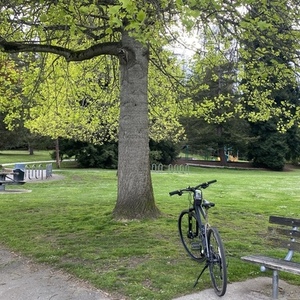 2022 Cannondale Quick CX Black