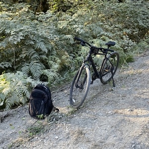 2022 Cannondale Quick CX Black