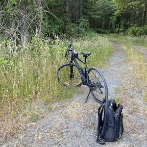 2022 Cannondale Quick CX Black