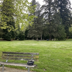 2022 Cannondale Quick CX Black