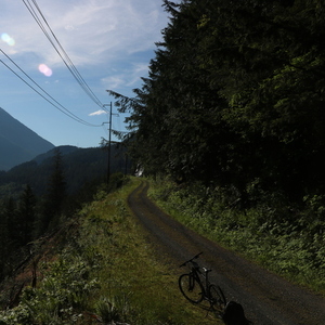 2022 Cannondale Quick CX Black