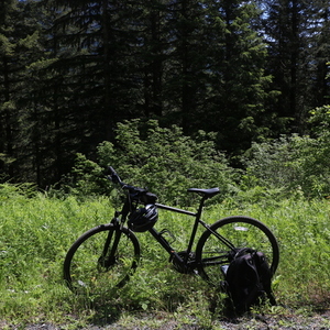 2022 Cannondale Quick CX Black