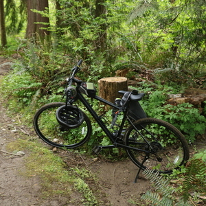 2022 Cannondale Quick CX Black