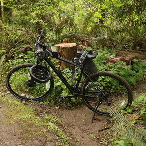 2022 Cannondale Quick CX Black