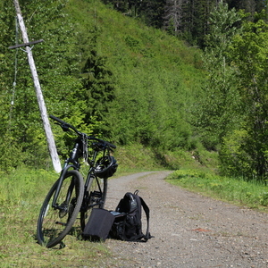 2022 Cannondale Quick CX Black
