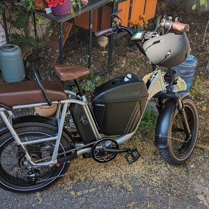 2022 Rad Power Bikes RadRunner Plus cargo bike (front storage) Silver, gray or bare metal