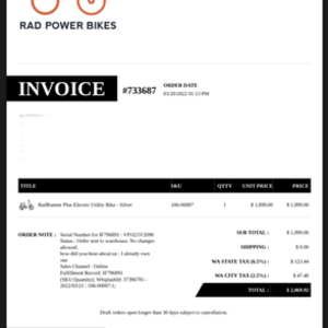 2022 Rad Power Bikes Rad runner plus Silver, gray or bare metal