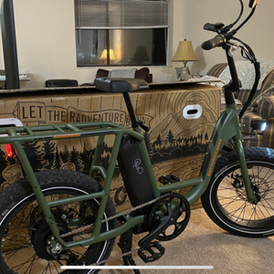 2021 Rad Power Bikes RadRunner 2 cargo bike (rear storage) Green