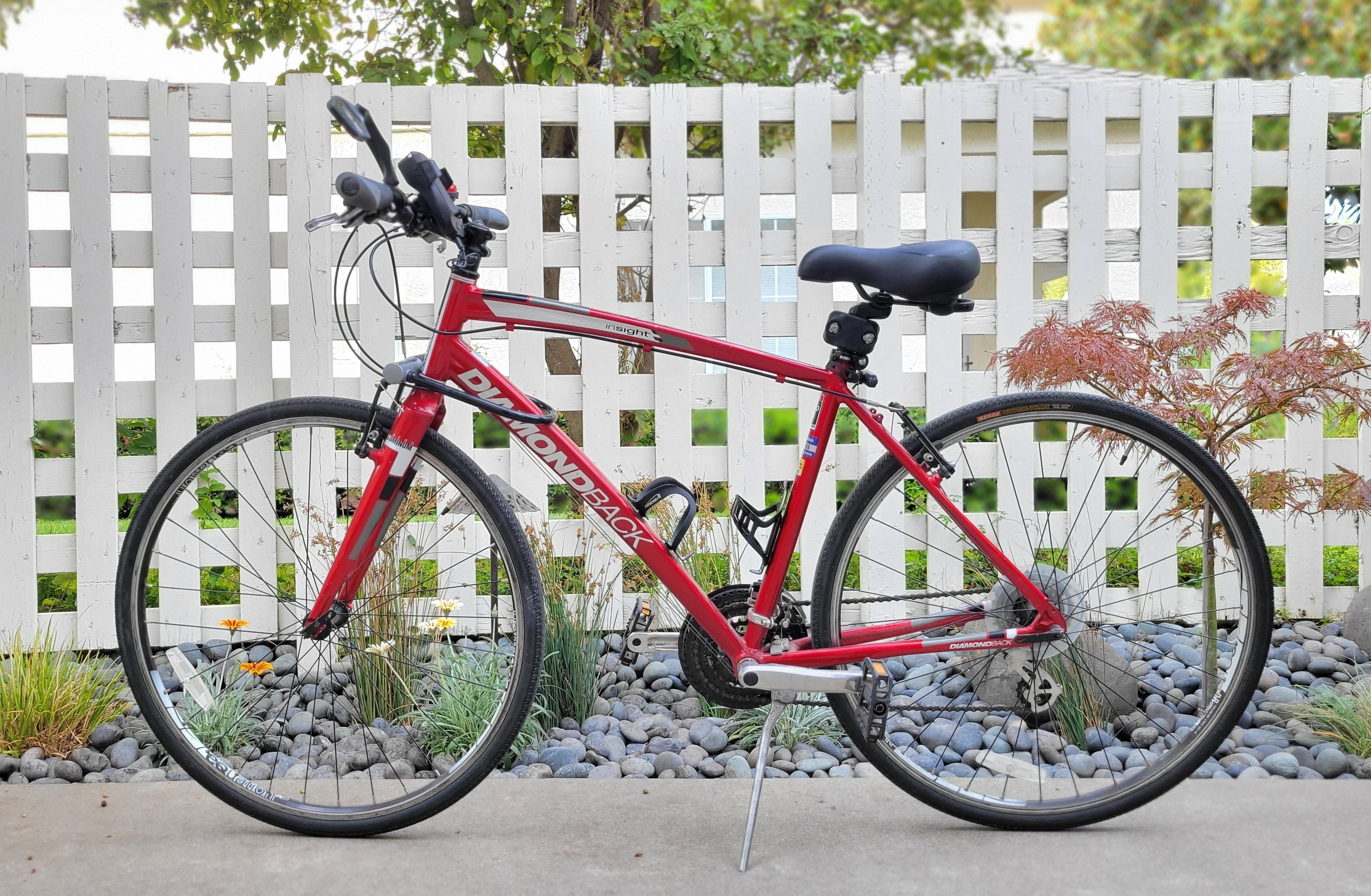 Diamondback Insight