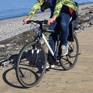 2017 Kross SA Evado 2.0 Blue