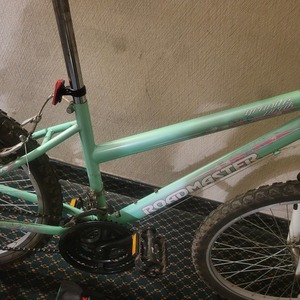 Roadmaster R3013wm Green