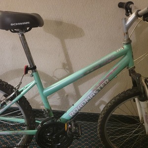 Roadmaster R3013wm Green