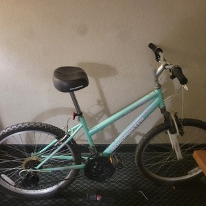 Roadmaster R3013wm Green