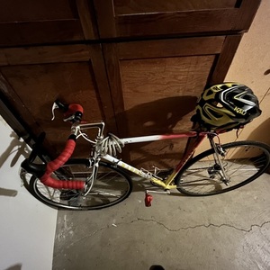 Basso Yellow or Gold, Red, and White