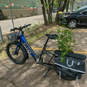 2022 Radio Flyer L885 large cargo bike (rear storage) Blue