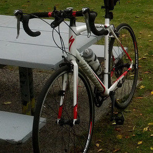 2014 Specialized Allez Elite White
