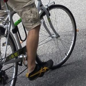 Schwinn Wayfarer Silver or Gray