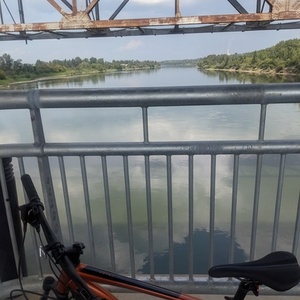 2022 Giant Falcon Orange