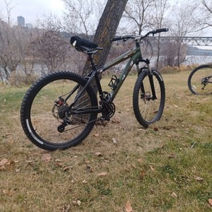 2008 Specialized Green and Black